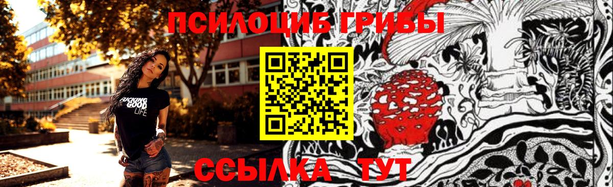Псилоцибиновые грибы мухоморы Кировск