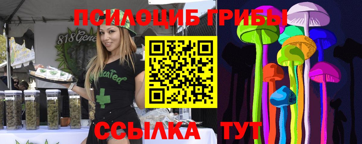 Галлюциногенные грибы GOLDEN TEACHER  Псилоцибиновые грибы ЛСД  Вход с VPN  Кировск 